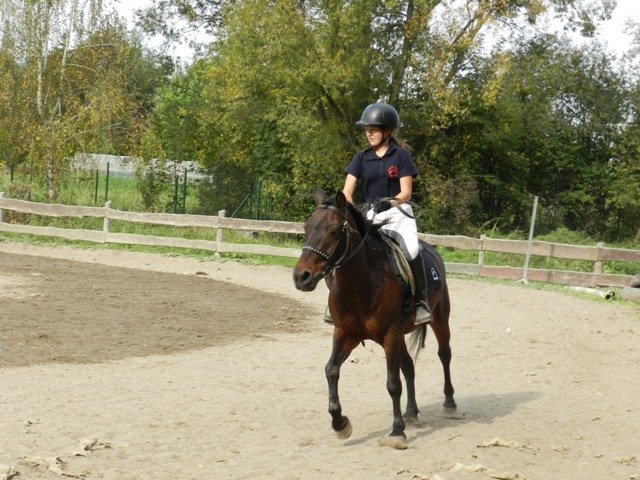 Babie Lato 2016